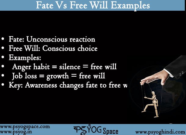 Fate Vs Free Will Examples
