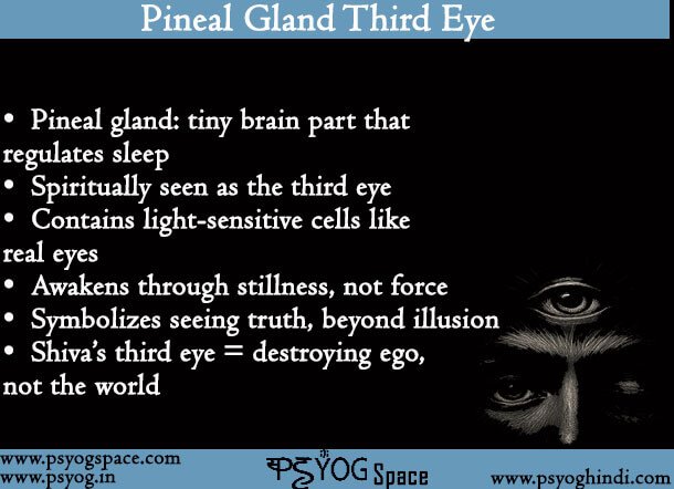 Pineal Gland Third Eye