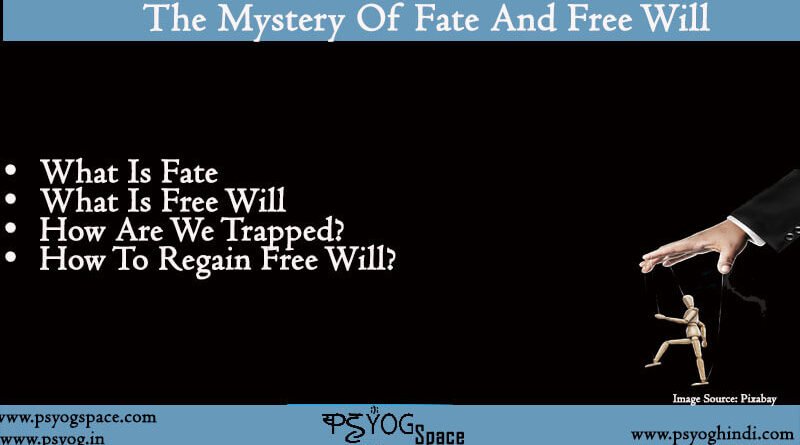 fate vs free will