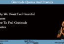 gratitude quotes