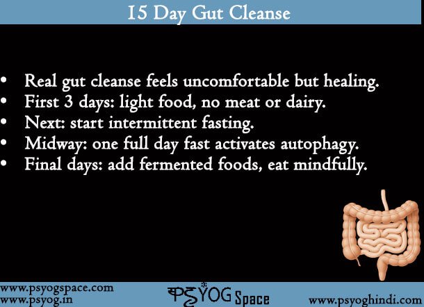 15 Day Gut Cleanse