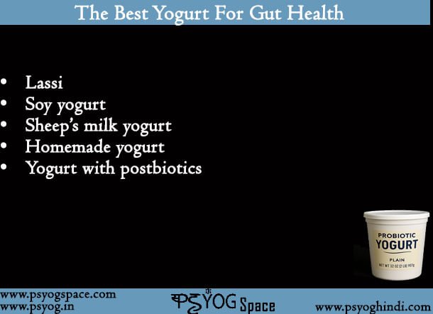 The Best Yogurt For Gut Health