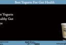 best yogurt for gut health